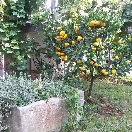 Nacinovic Apartment