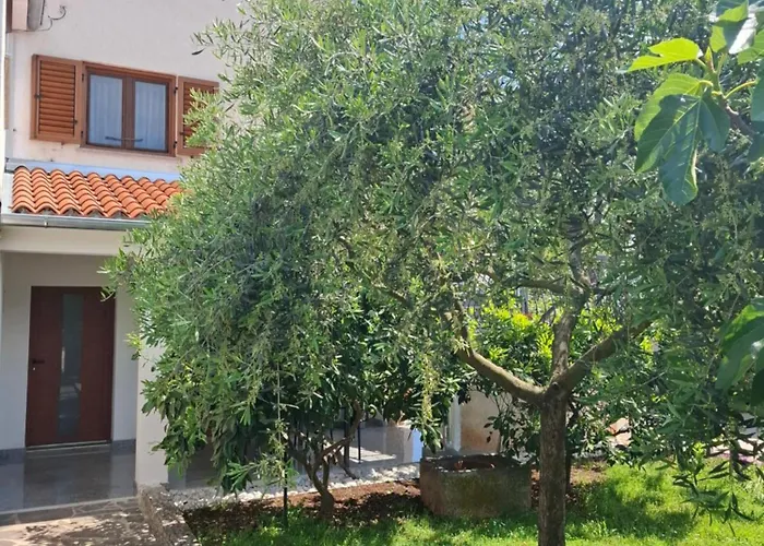 Nacinovic Apartamento