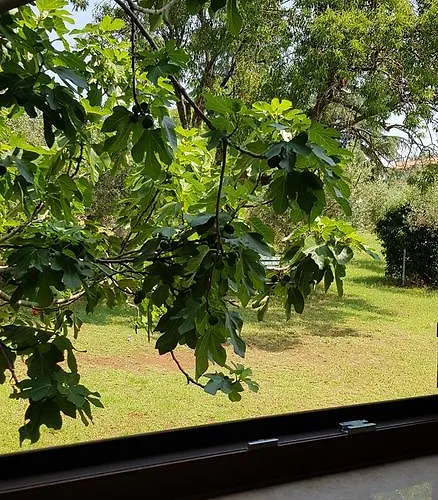 Nacinovic Apartamento *